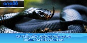 Mơ thấy rắn